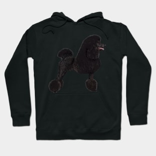 Elegant Black Standard Poodle Hoodie